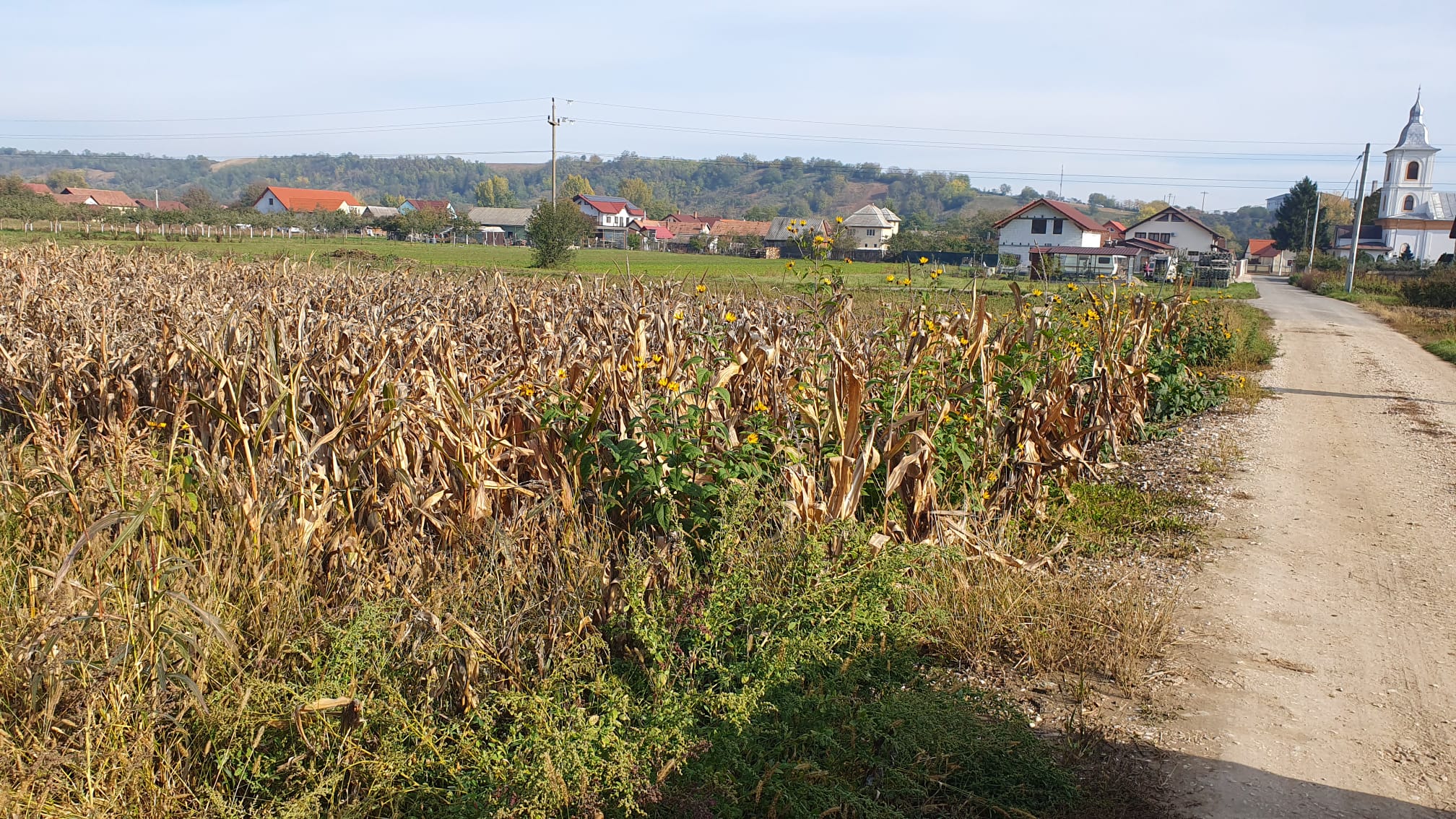 Teren intravilan Galda de Jos, 2100 mp - foto 4