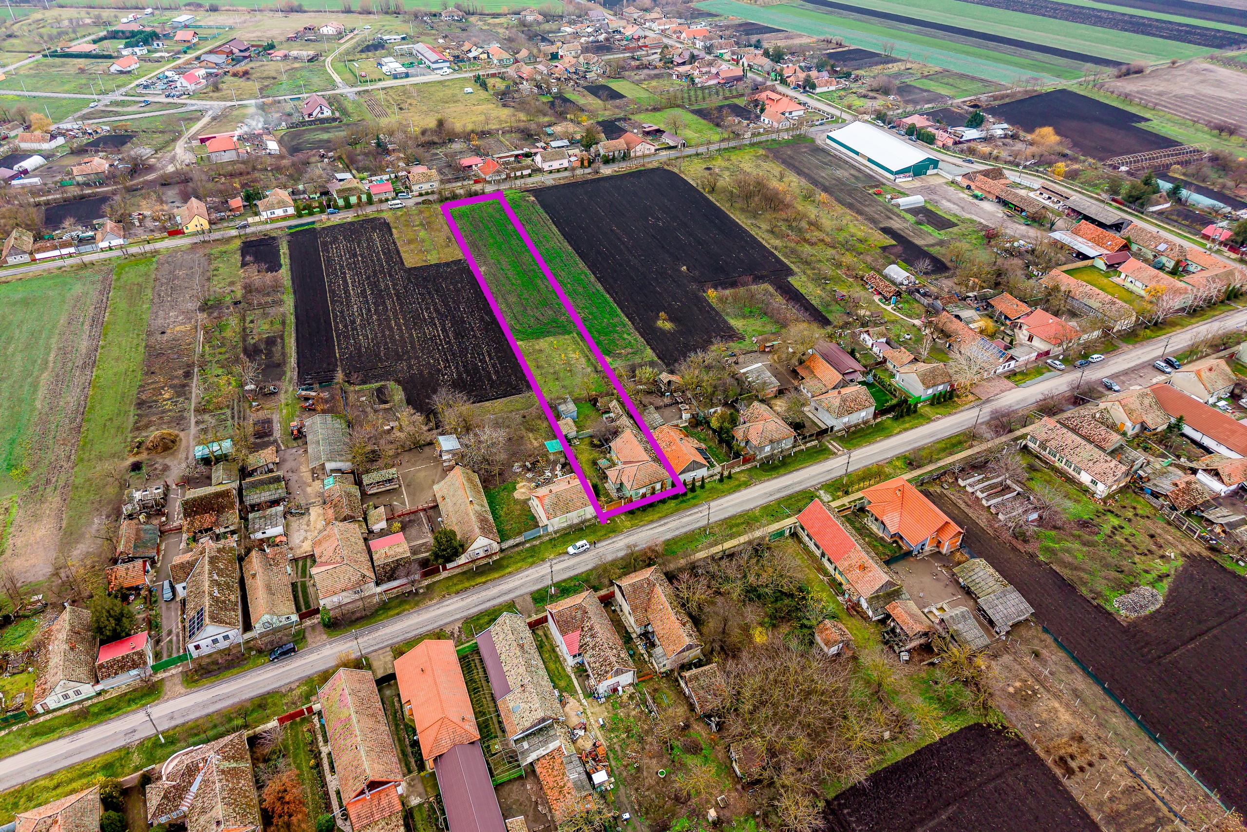Preț nou | Casă + livadă | aprox. 2.500 mp | comuna Dorobanți