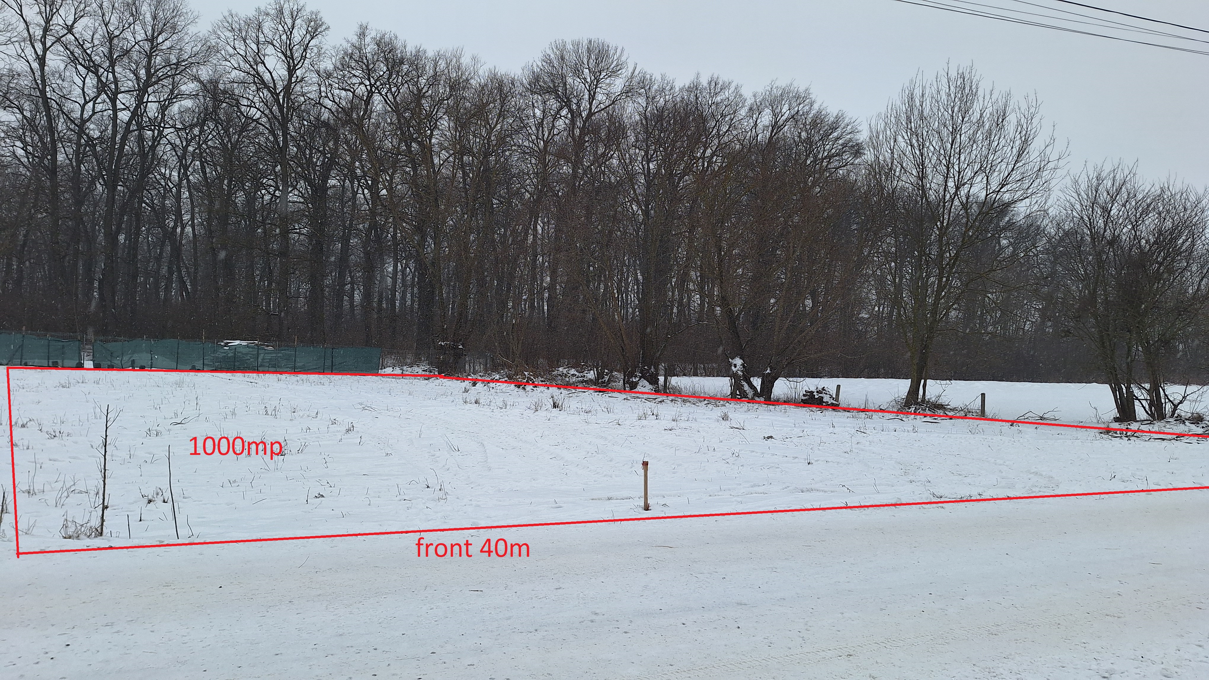 Teren 1000mp intravilan la liziera padurii, acces din drum asfaltat. - foto 3