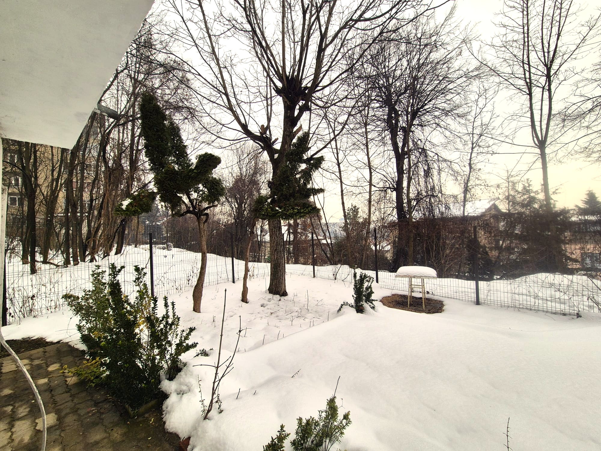 Ultracentral, apartament in casa, pretabil locuit / birouri, pet friendly. - foto 2