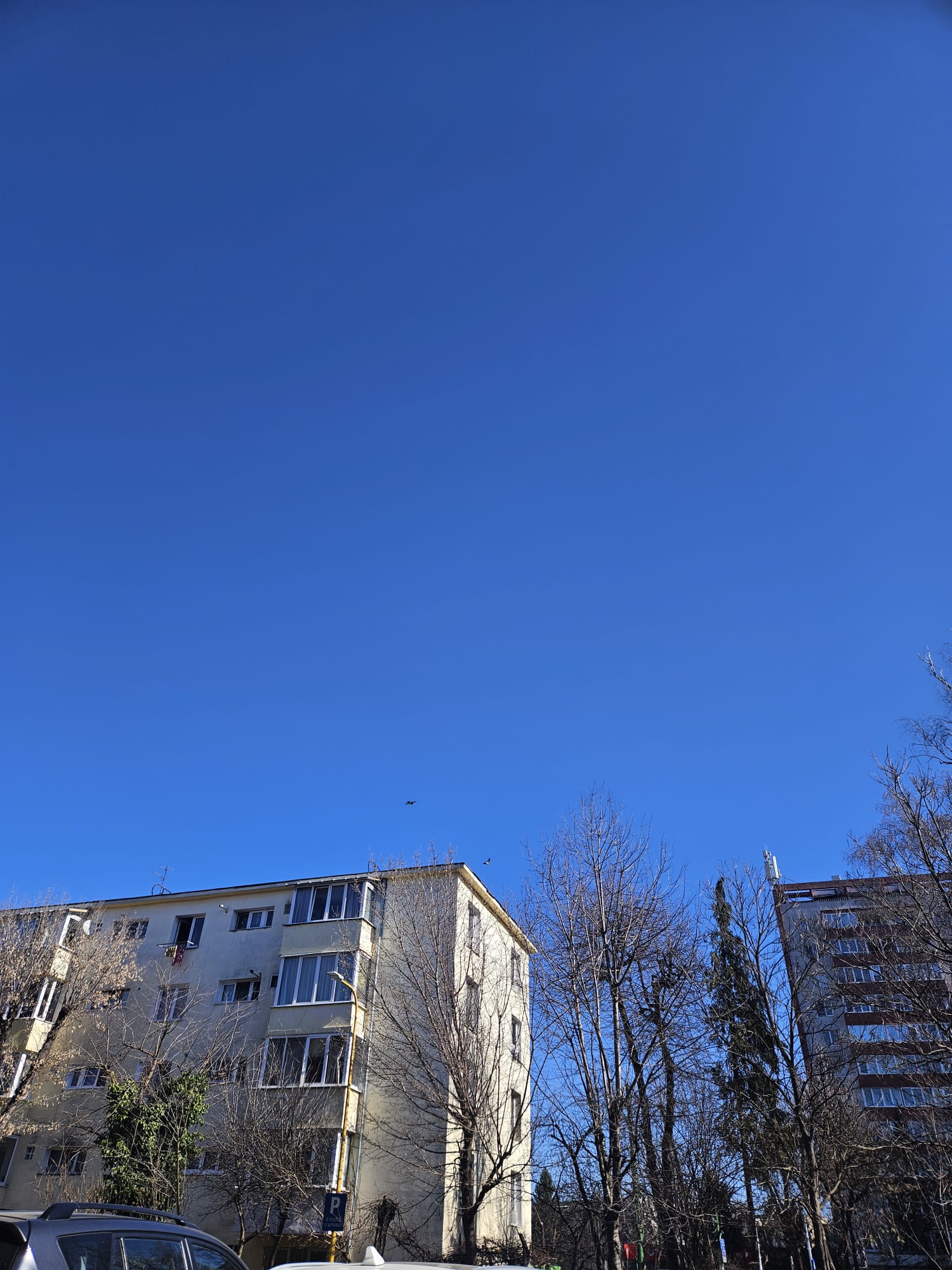 Spatiu comercial - Brasov