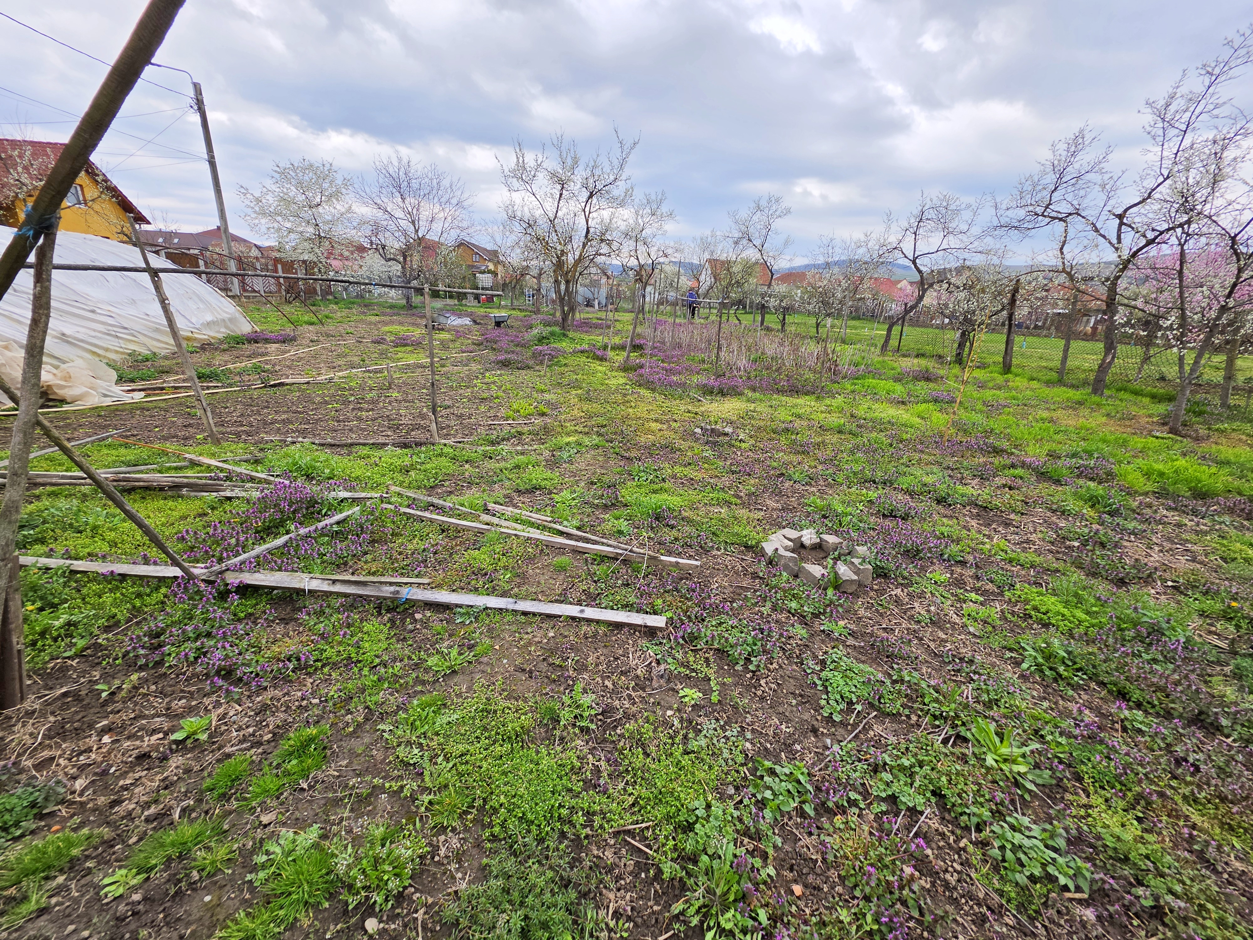 Teren intravilan parcelat, 1621 mp, cu casa demolabila, Barabant - Alba Iulia