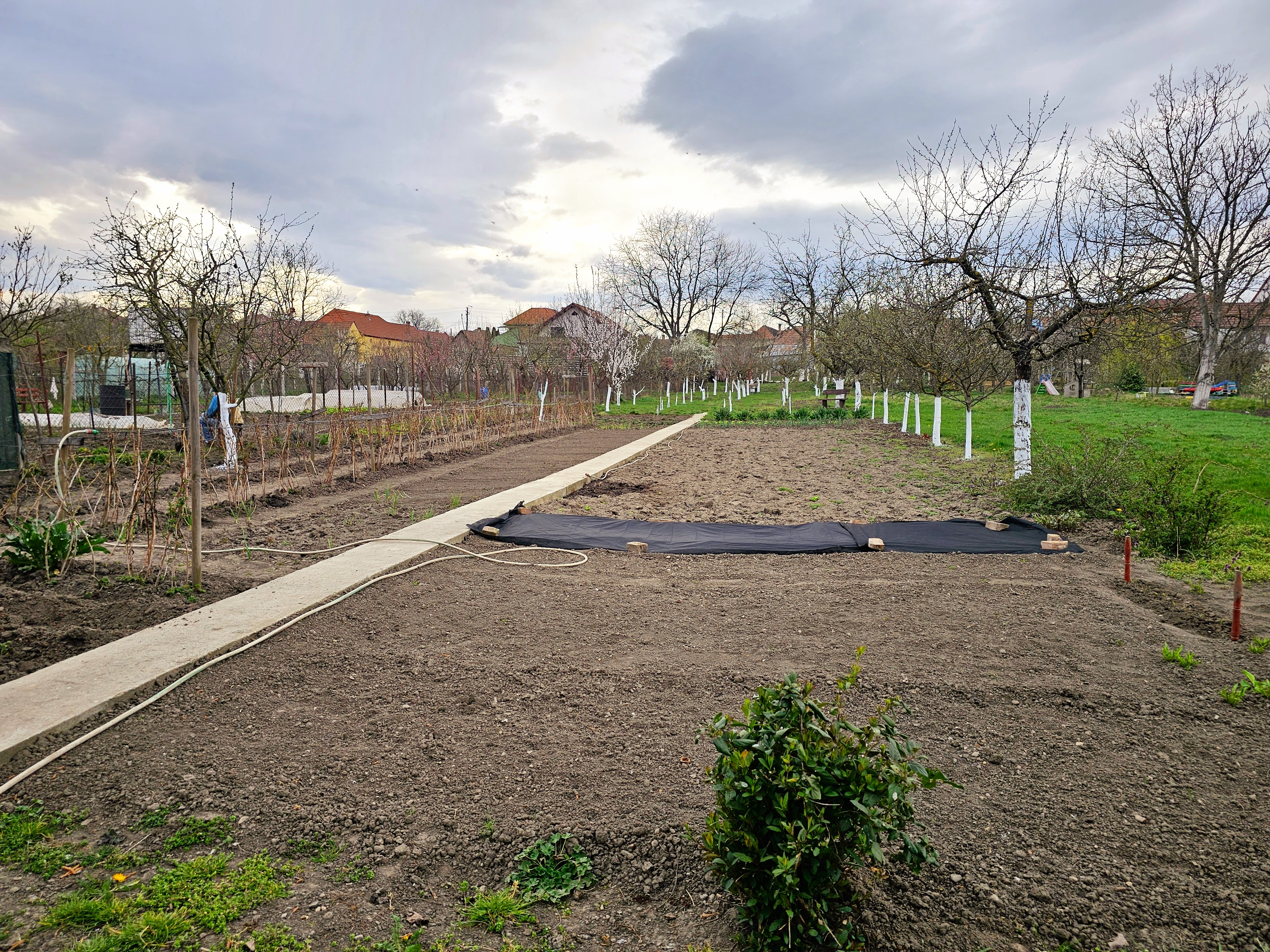 Casa 4 camere, toate utilitatile, 1650 mp teren, Lancram - foto 4