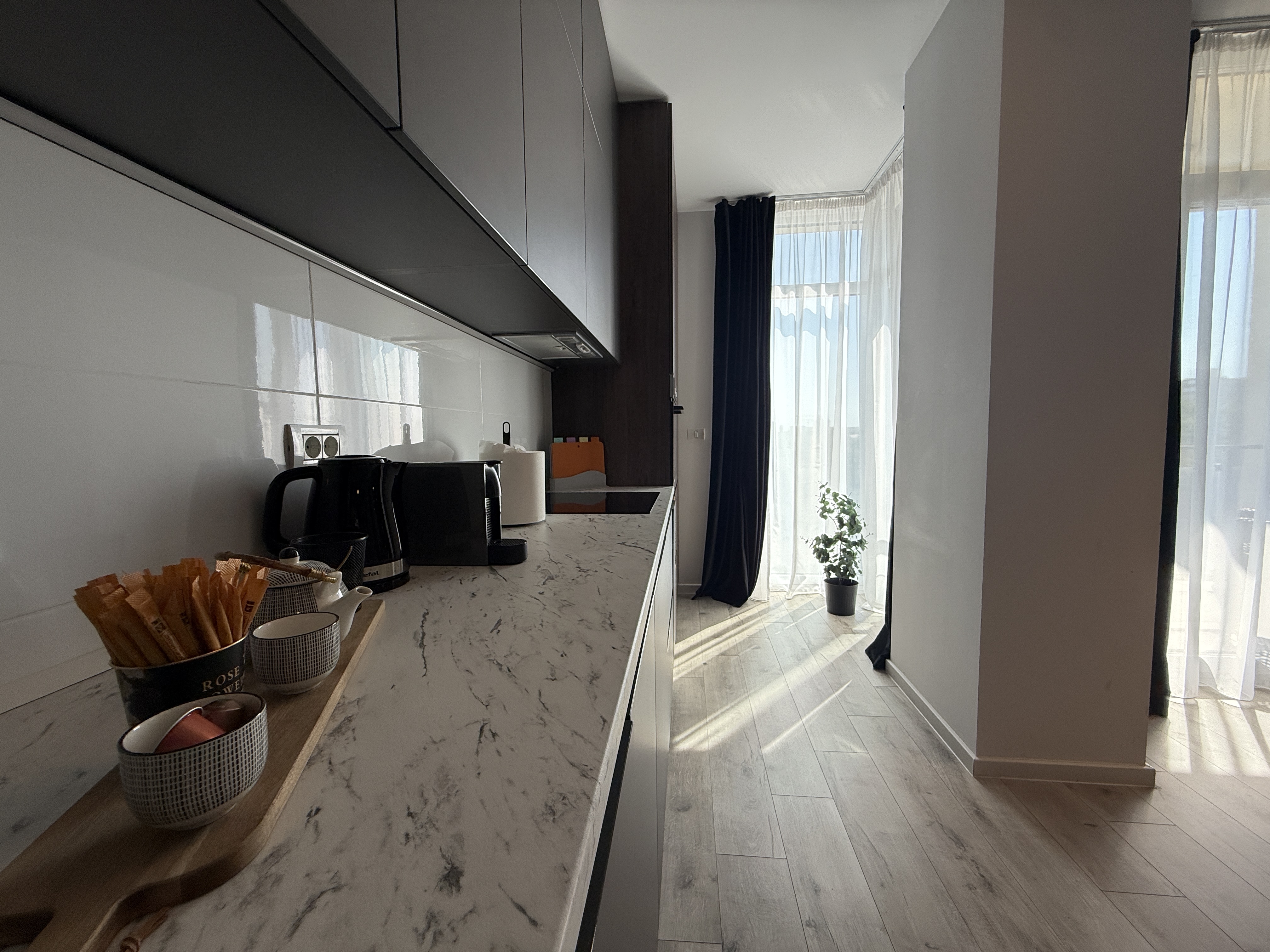 Apartament modern 2 camere - Nord One Botanic - Iulius Mall — fotografia 3